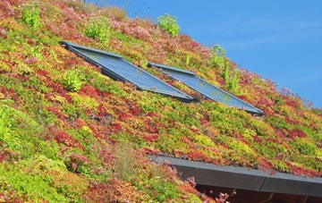 Brunthwaite living roof systems